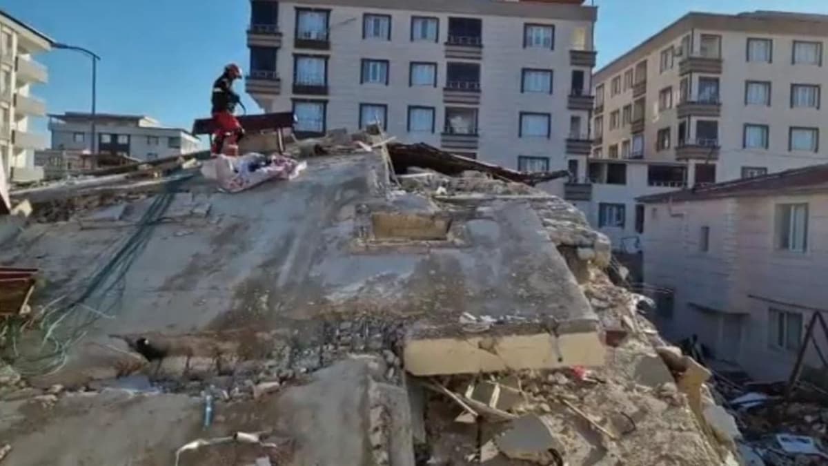 Apoyo a Turquía tras el sismo; Turkish Airlines hace acopio y Cruz Roja abrirá una cuenta