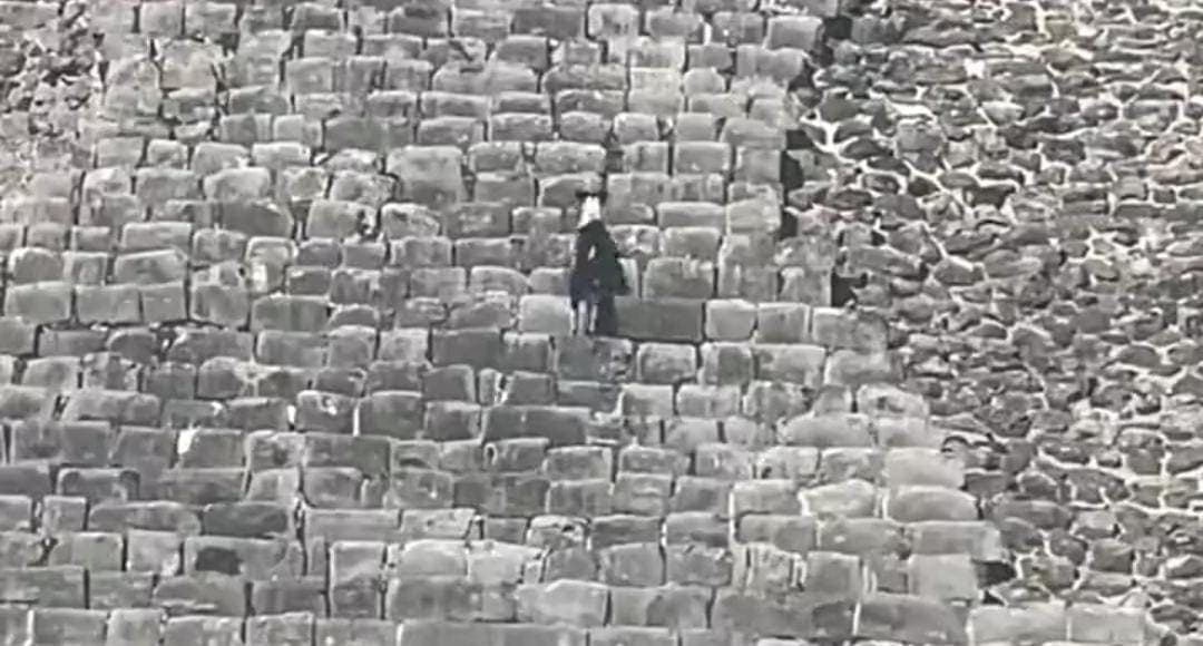 Video: Turistas no pueden subir a pirámide de Chichén Itzá, pero perritos sí