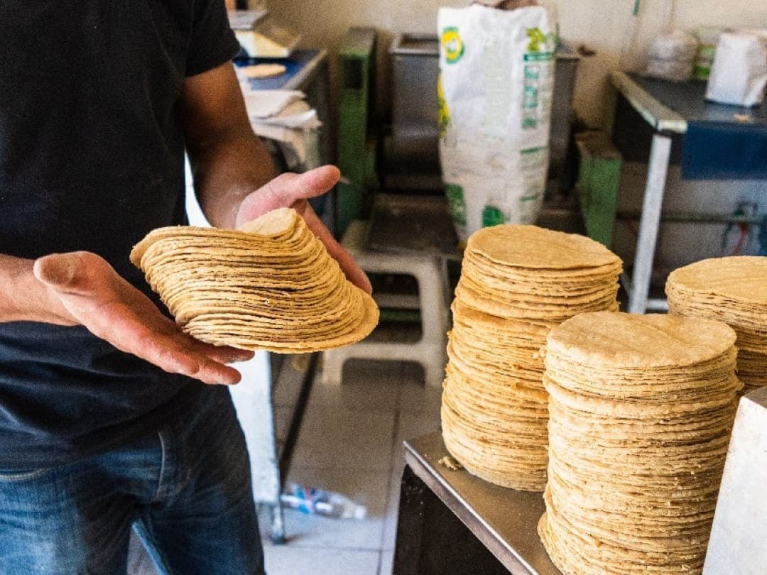 Entre 1 y 2 pesos, subirá el precio del kilo de tortilla