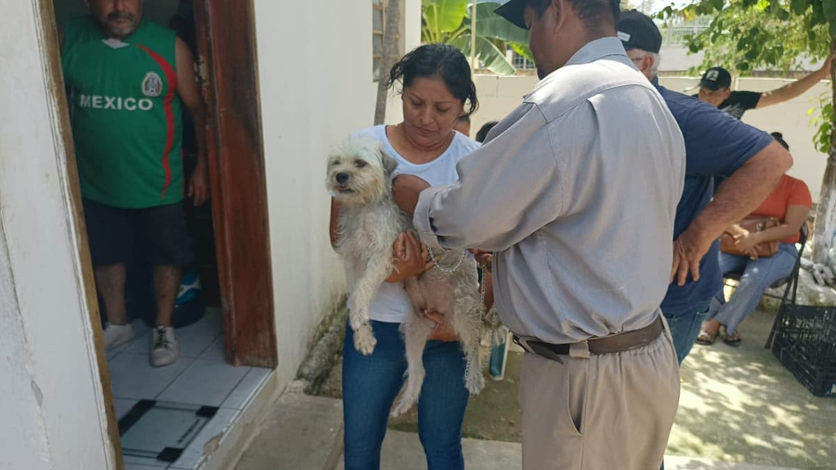 Gran respuesta de la Ciudadanía para hacer comunidad