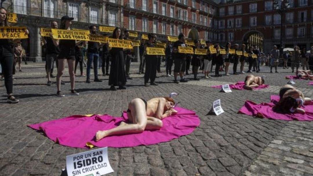 Activistas protestan contra corridas de Toros en España previo a inicio de feria