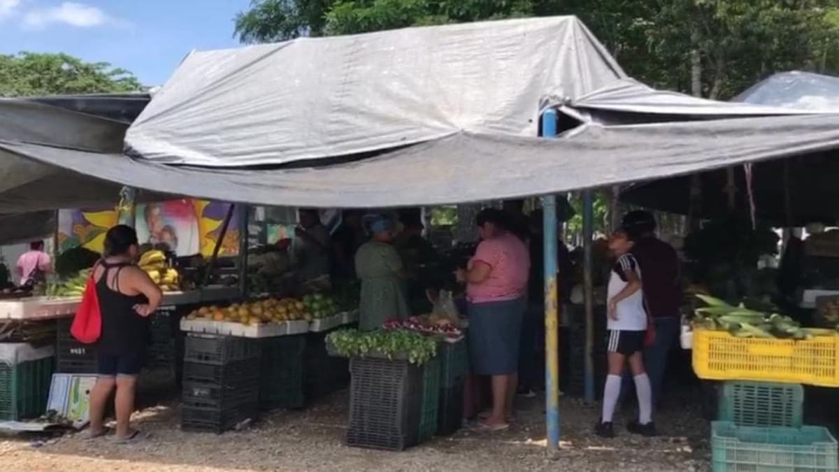 Ambulantes han invadido parques y hasta juegos infantiles en Villas del Sol; exigen su reubicación