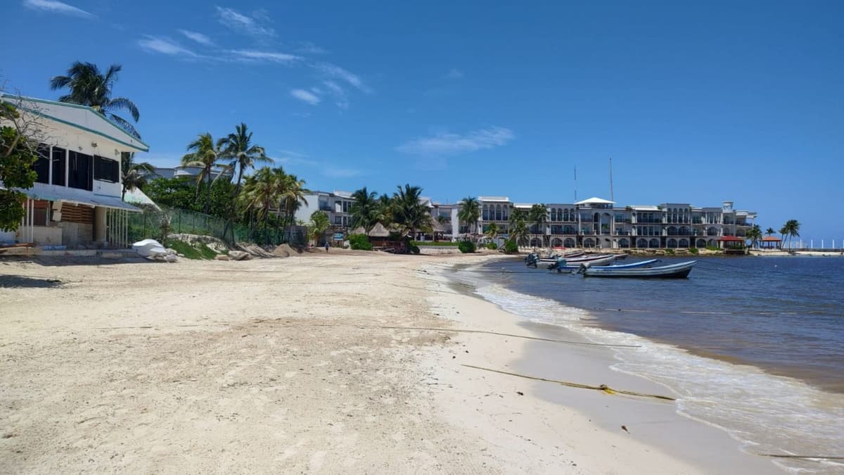 Pescadores y prestadores de servicios, a favor de que El Recodo sea pet friendly