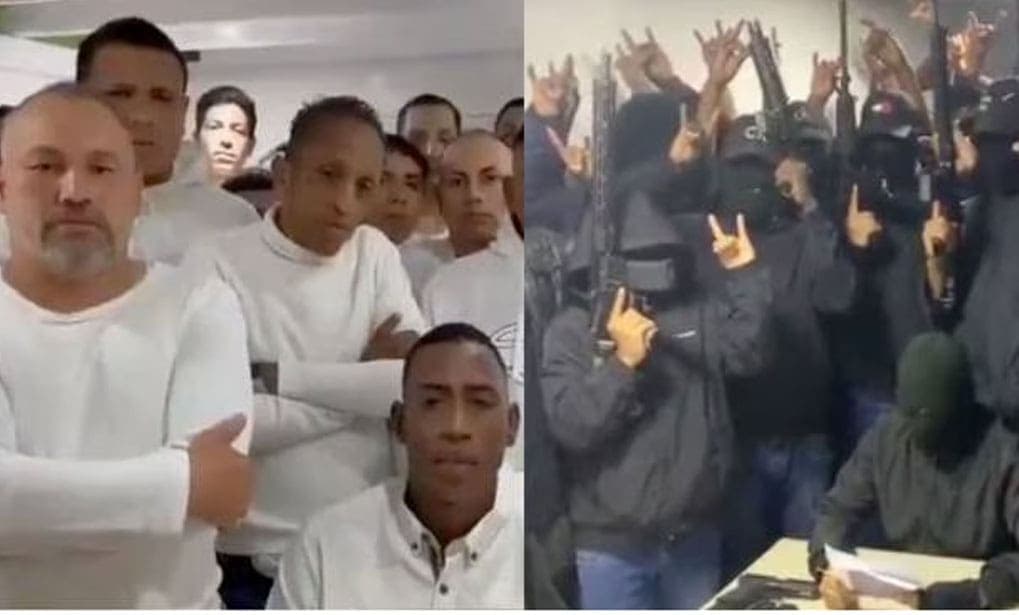 Video: "Los Lobos" se deslindan del asesinato de Fernando Villavicencio