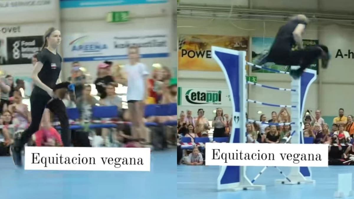 Video: Concurso de "equitación vegana" causa furor en TikTok