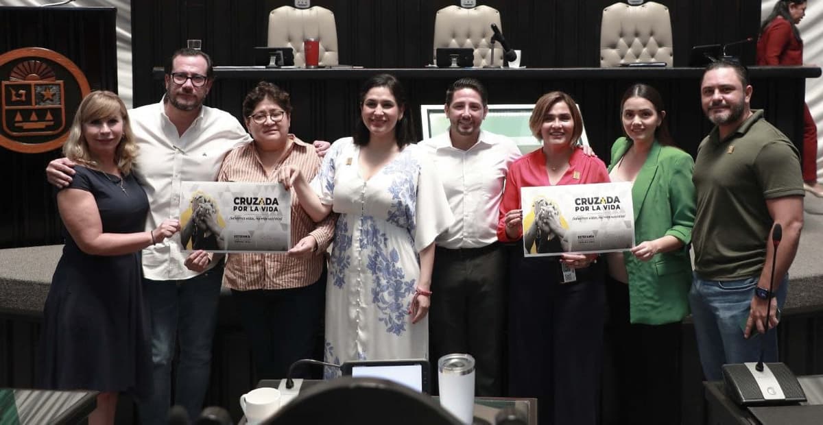 Cruzada por la vida, propone Estefanía Mercado Ley de Prevención del Suicidio para Quintana Roo