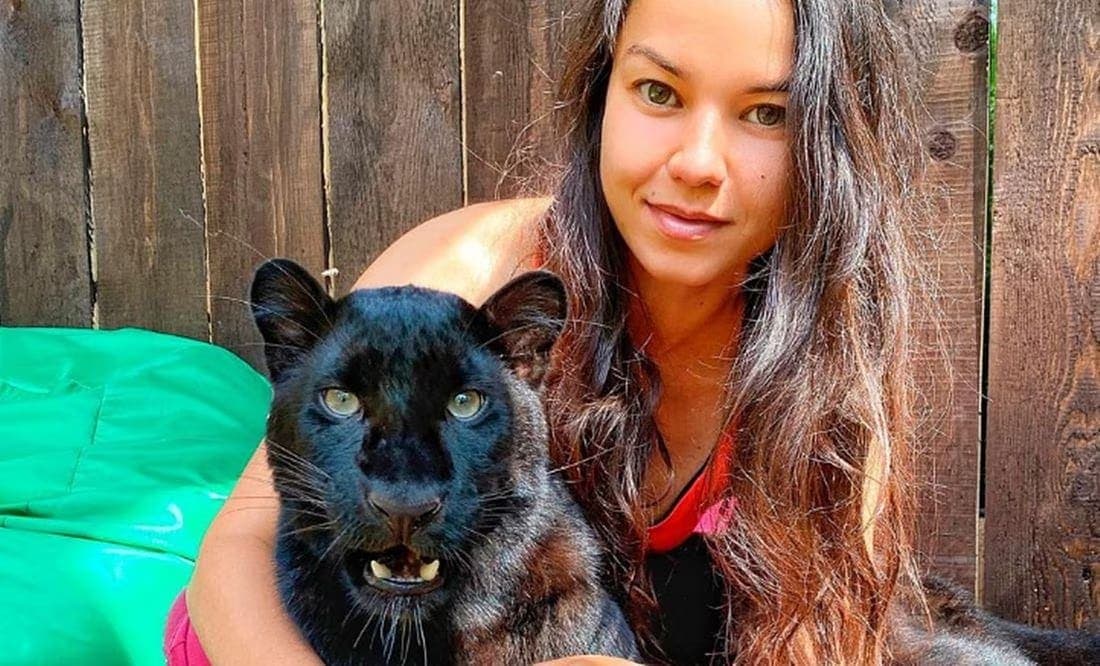 Video: Luna, la pantera rescatada que ha crecido junto a una humana y un Rottweiler