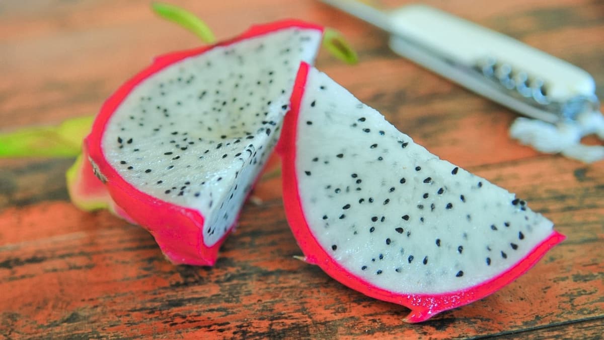 Habrá muestra gastronómica con platillos y bebidas con pitahaya este 16 de septiembre en Playa del Carmen