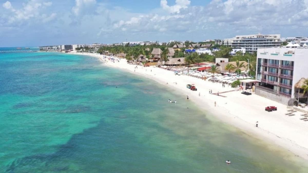 Playa del Carmen sin sargazo; concluye la temporada de arribo del alga 2023