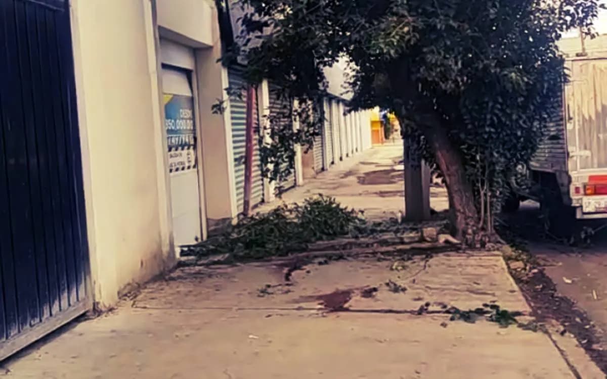 Universitaria se lanza del edificio donde vivía y pierde la vida en Puebla