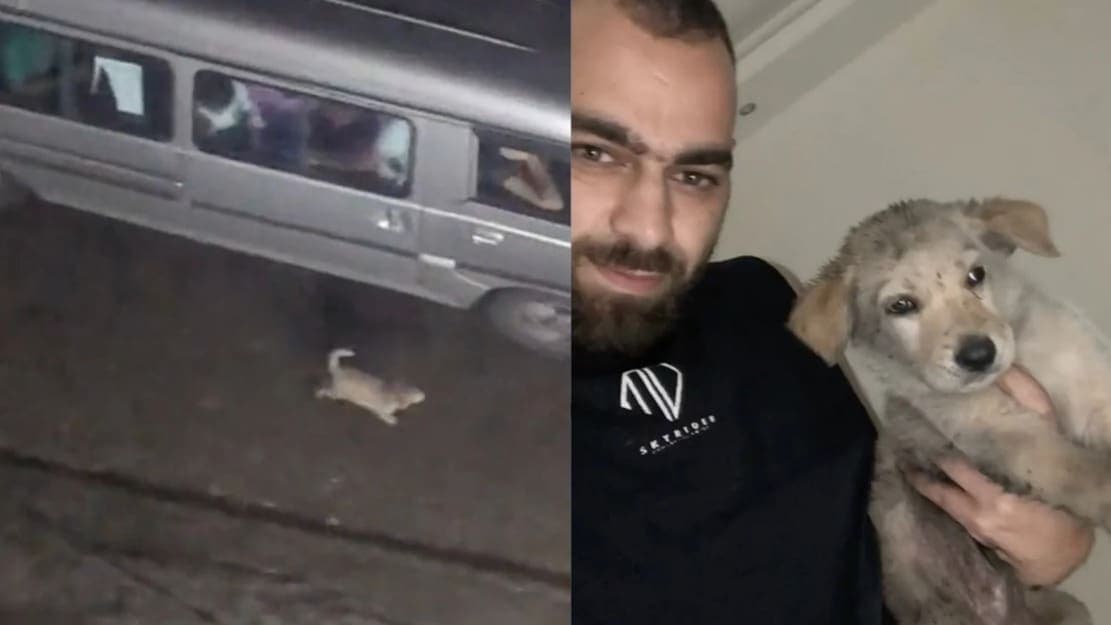 Video: Hombre graba como abandonan un perrito en medio de la carretera y decide adoptarlo