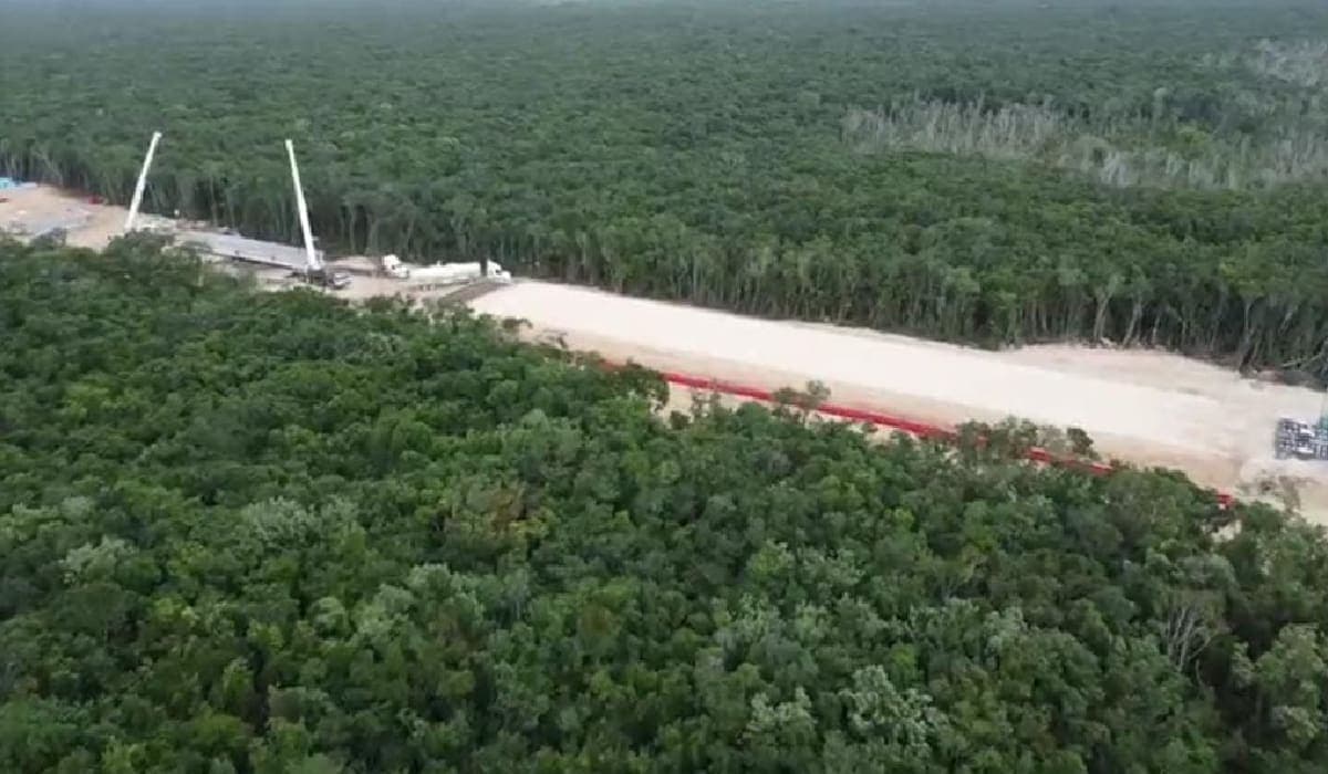 Federación expropia 17 terrenos más en Quintana Roo para el Tren Maya