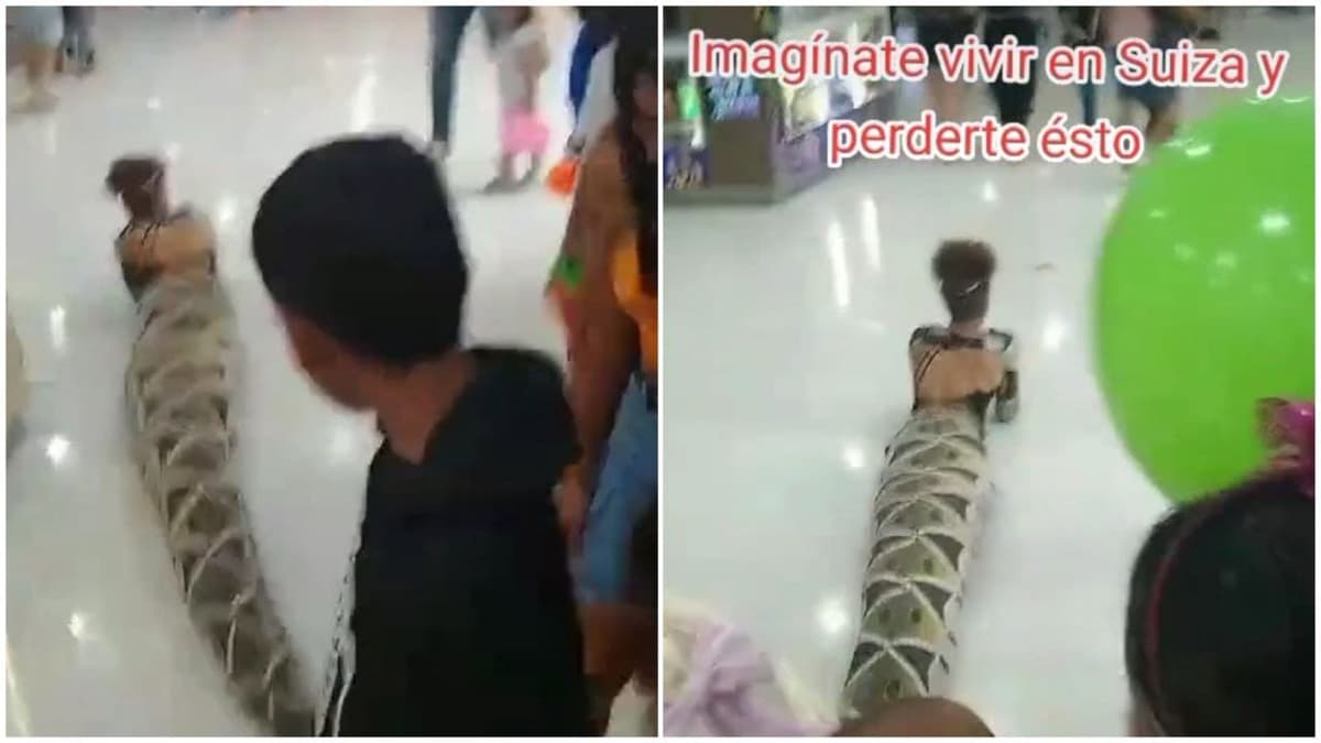 Video: Mujer se hace viral al ir arrastrándose con disfraz de serpiente mientras recorría un centro comercial