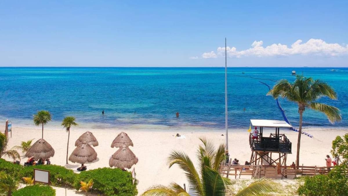 Costas de Playa del Carmen lucen espectaculares para esta Navidad; piden a locales y turistas cuidarlas