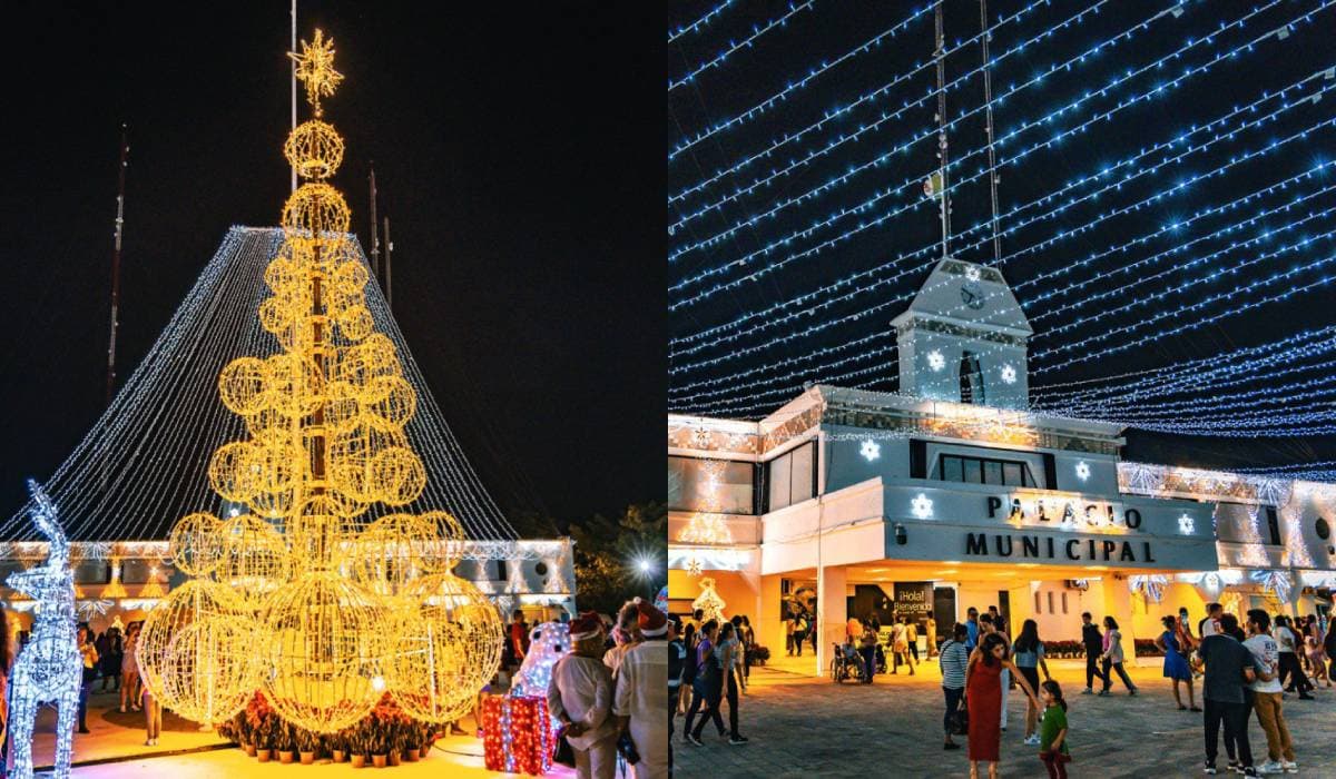 Solidaridad brilla con el tradicional encendido del árbol navideño