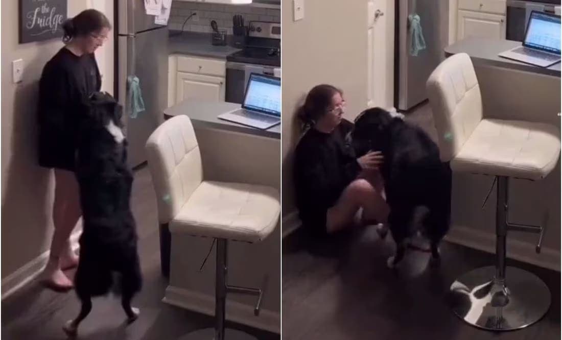 Video: Perrito salva a su dueña tras estar a punto de desmayarse