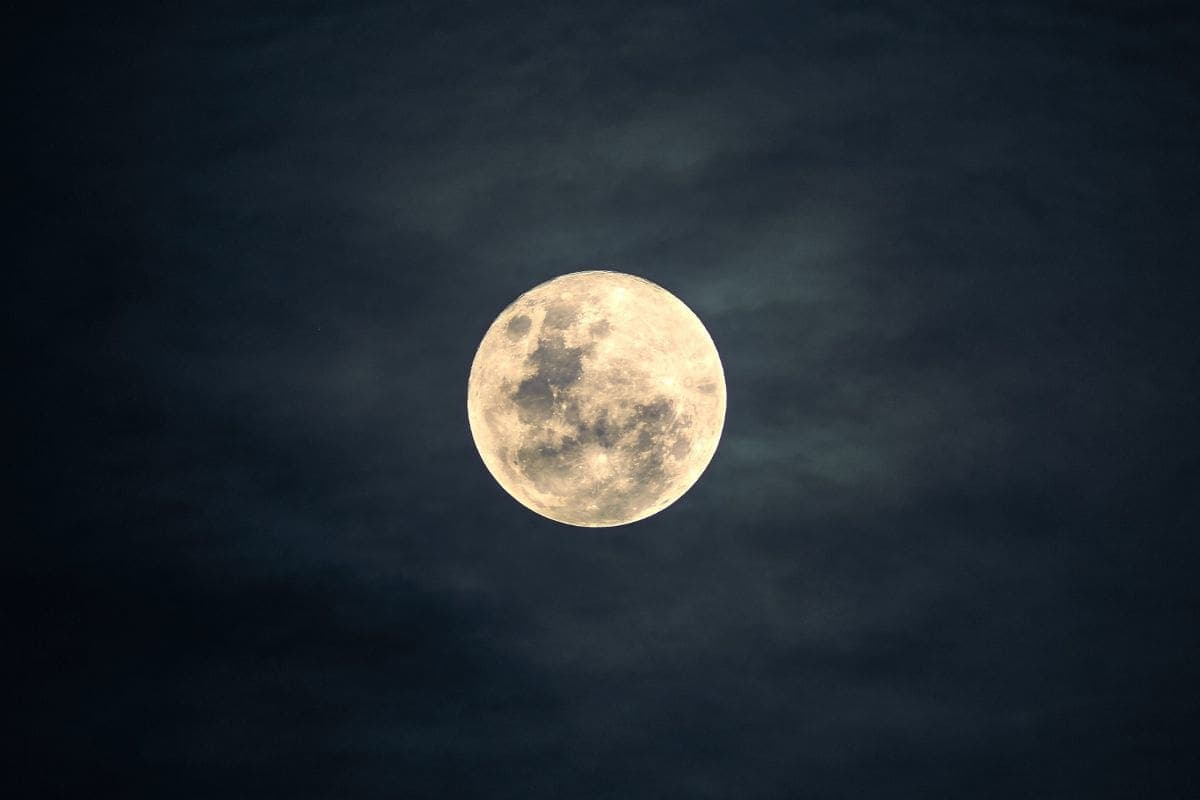 Realizarán primer lanzamiento privado a la Luna de la historia