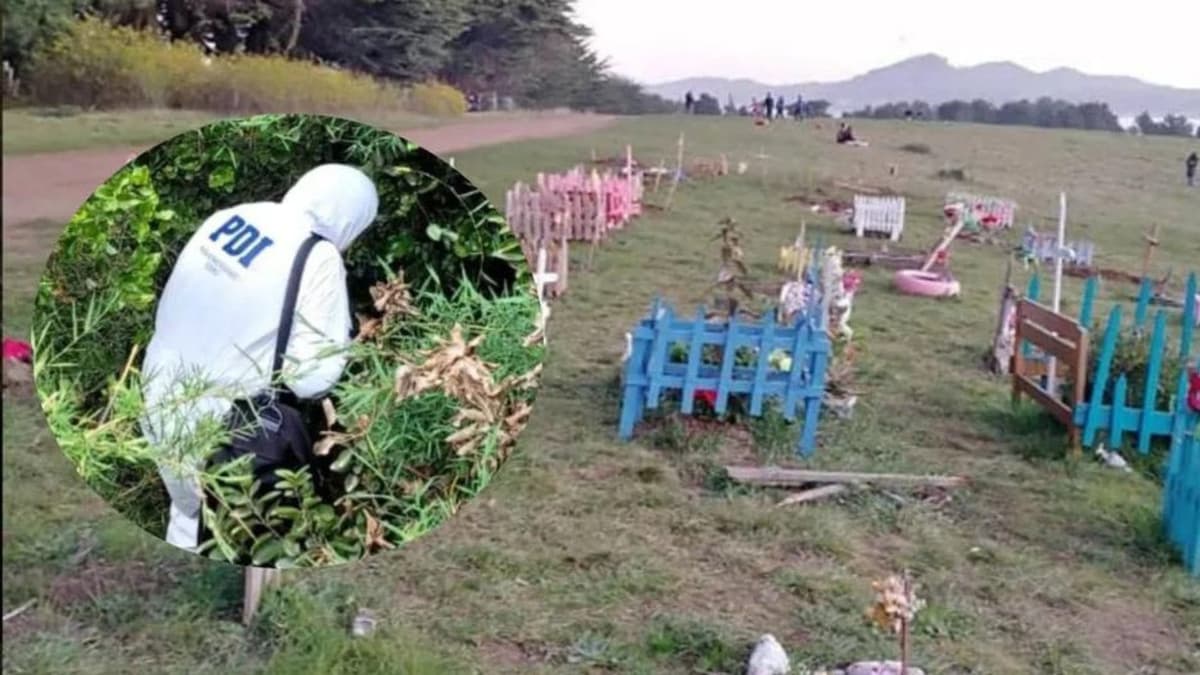 Detienen a mujer que enterró a su bebé en cementerio de mascotas en Chile