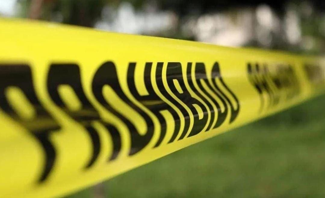 Van 102 ambientalistas asesinados en el sexenio de López Obrador