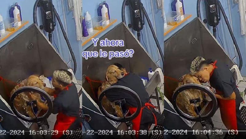 Video: Empleado de estética canina causa ternura tras cantar a todo pulmón mientras baña a perrito