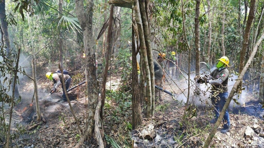 Ayuntamiento de Solidaridad emite recomendaciones para una quema controlada