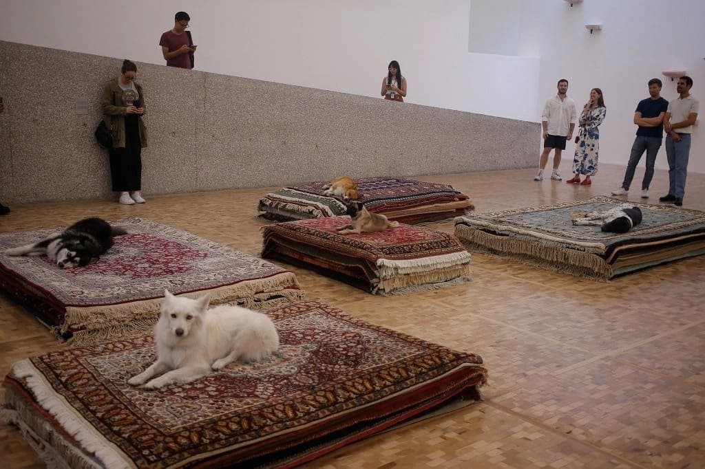 La exposición "Casts" en el Museo Tamayo de la CDMX genera controversia por el uso de perros reales