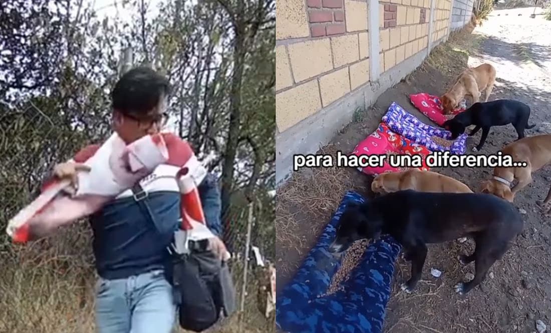 Hombre convierte basura electoral en camitas para perritos de la calle y se viraliza en TikTok