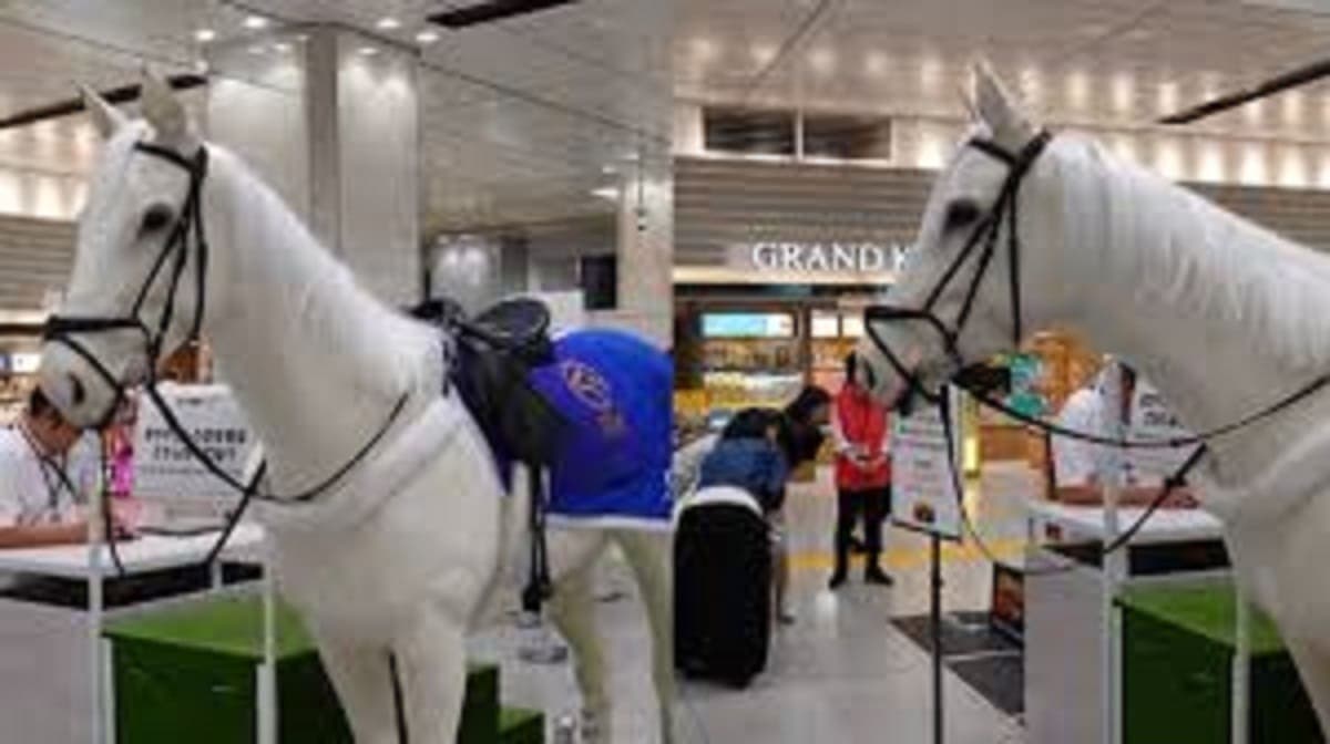 Video: El futuro galopa: Japón presenta caballo robot en el metro de Tokio