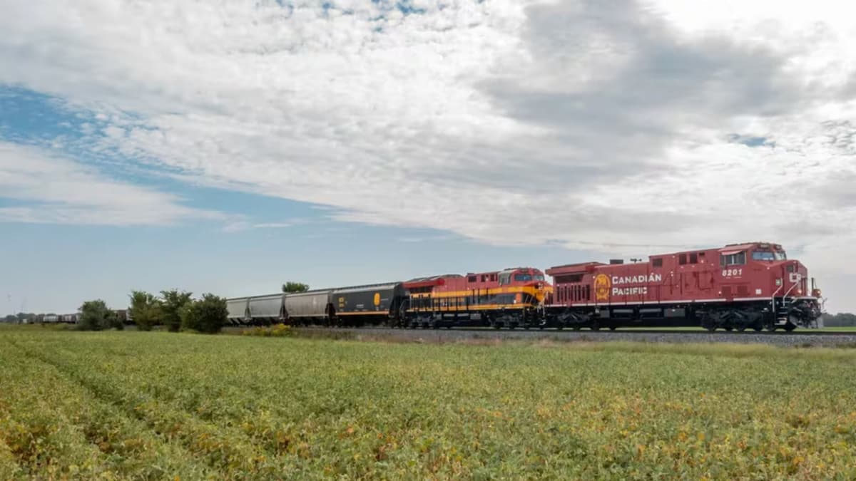 VIDEO: Mujer muere en Hidalgo tras ser golpeada por un tren mientras se tomaba un selfie