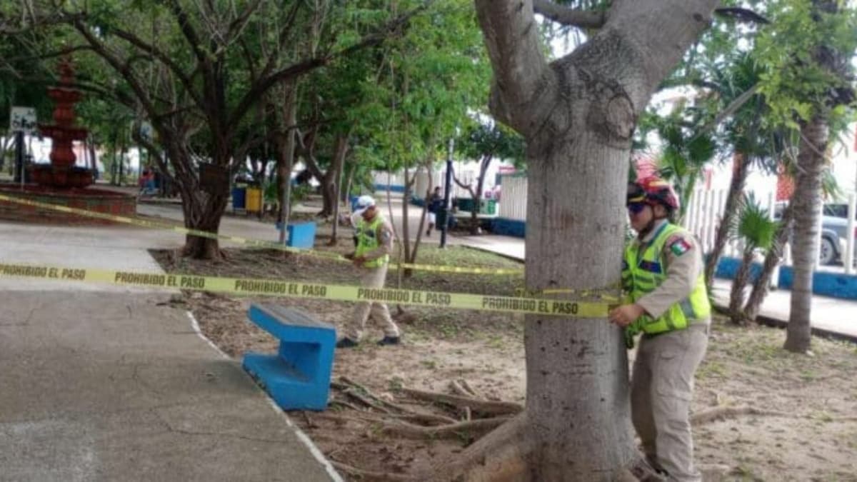 Trabaja Solidaridad en materia de prevención por fenómenos hidrometeorológicos