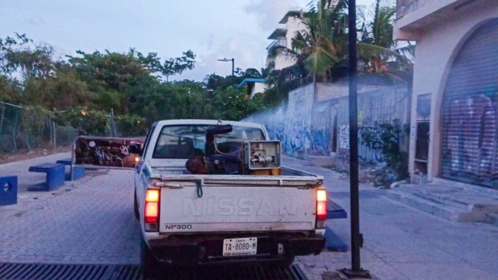 Solidaridad toma medidas de precaución contra el dengue