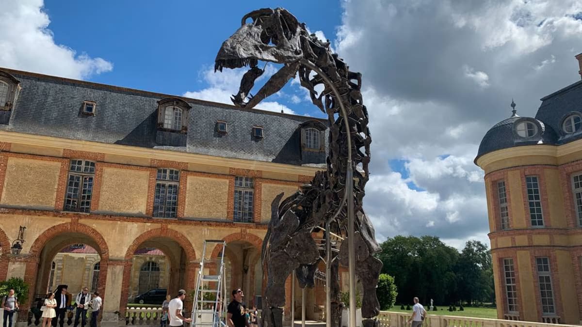 Subastarán en Francia el esqueleto del dinosaurio más grande jamás puesto a la venta