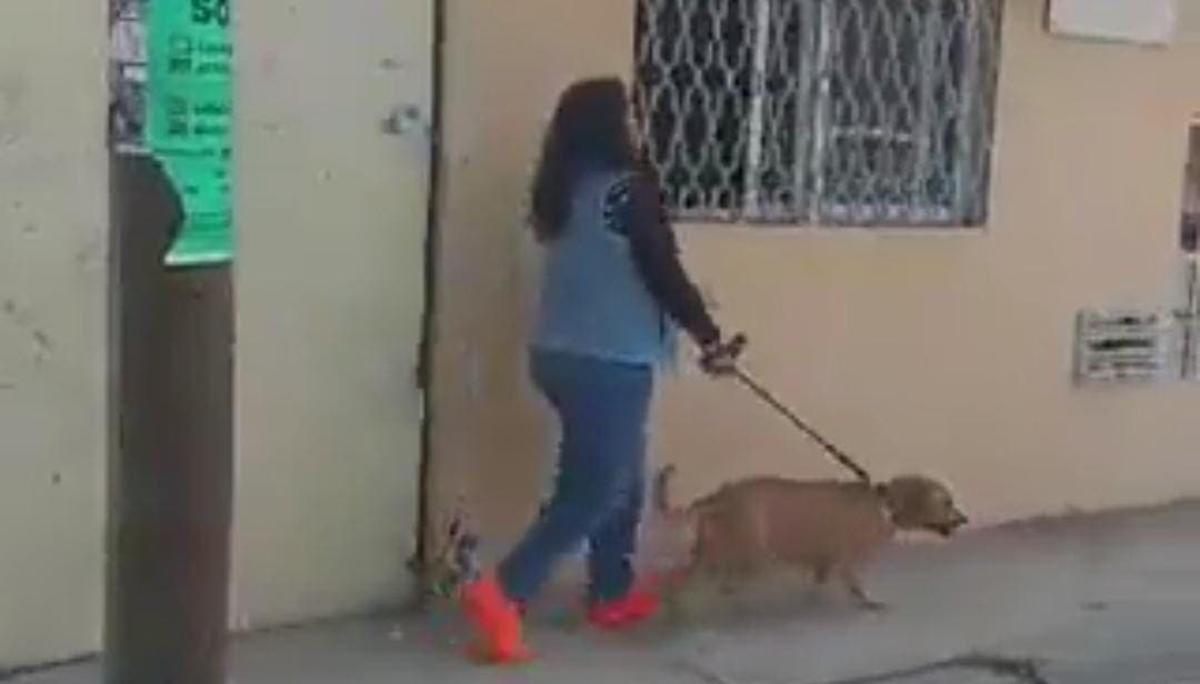 Video: Surge "Lady Popó"; fue exhibida por no recoger las heces de su perro y dijo que la querían violar