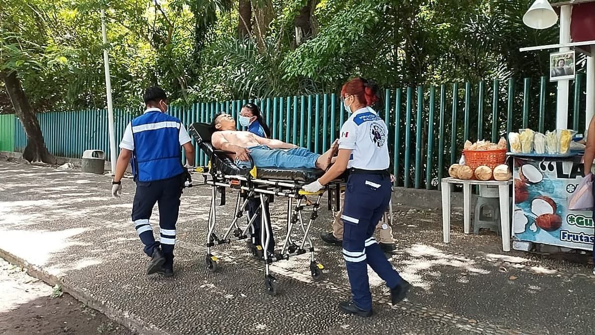 Video: Joven sobrevive tras lanzarse desde un mirador de 50 metros a una laguna de cocodrilos en Tabasco