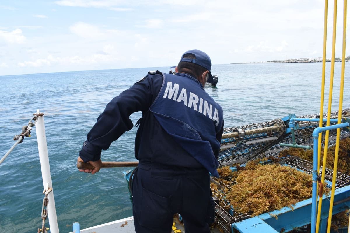Federación reconoce al gobierno de Mara Lezama por sus acciones para contener el recale de sargazo