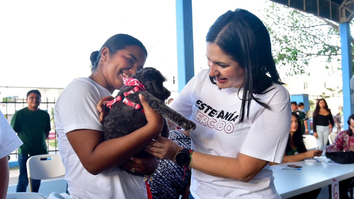 Estefanía Mercado anuncia la construcción de la Clínica del Bienestar Animal con servicios veterinarios gratuitos