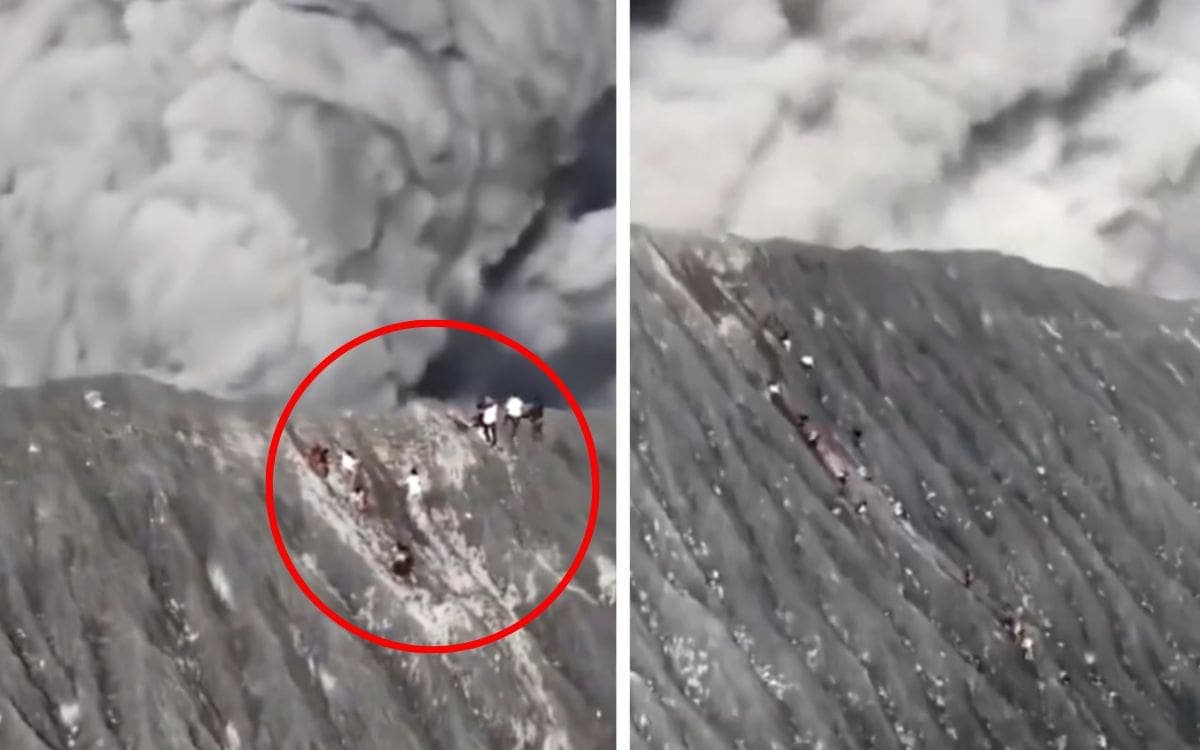 Video: Escaladores logran escapar con vida de gran erupción de volcán en Indonesia