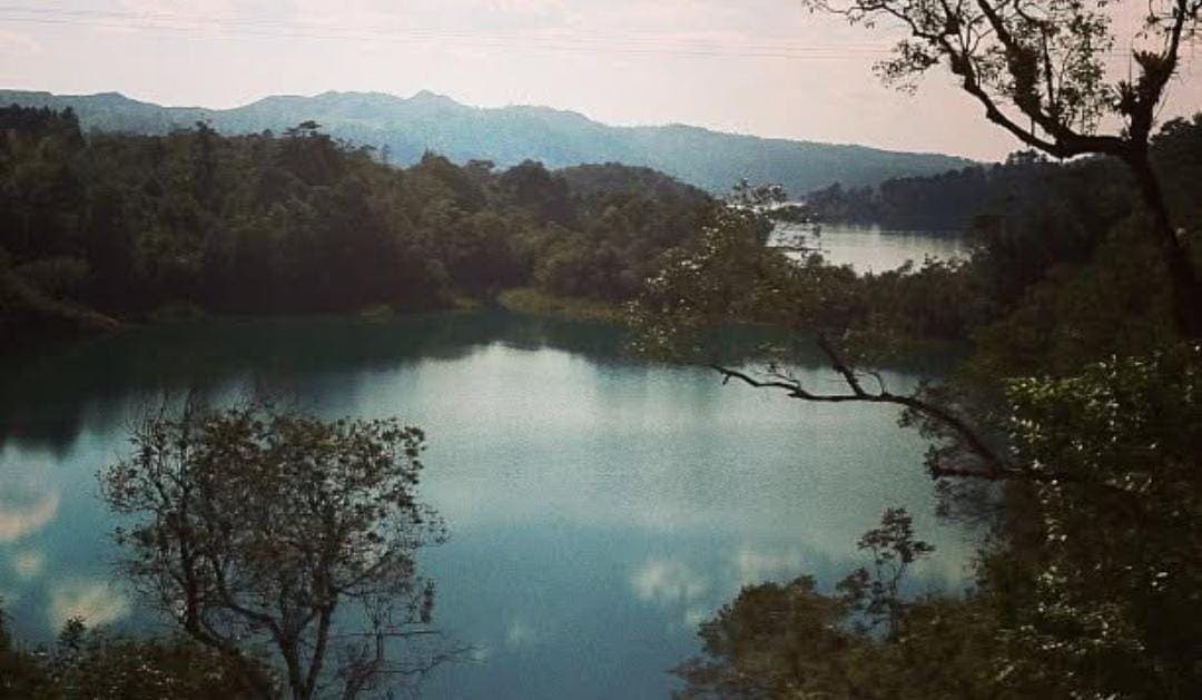 Pobladores denuncian que el narco se ha infiltrado en la Selva Lacandona en Chiapas