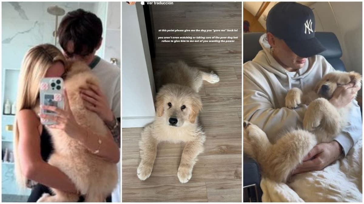 Video: Hannah Howell, exnovia de Peso Pluma, lo acusa de quedarse con el perro que él le regaló