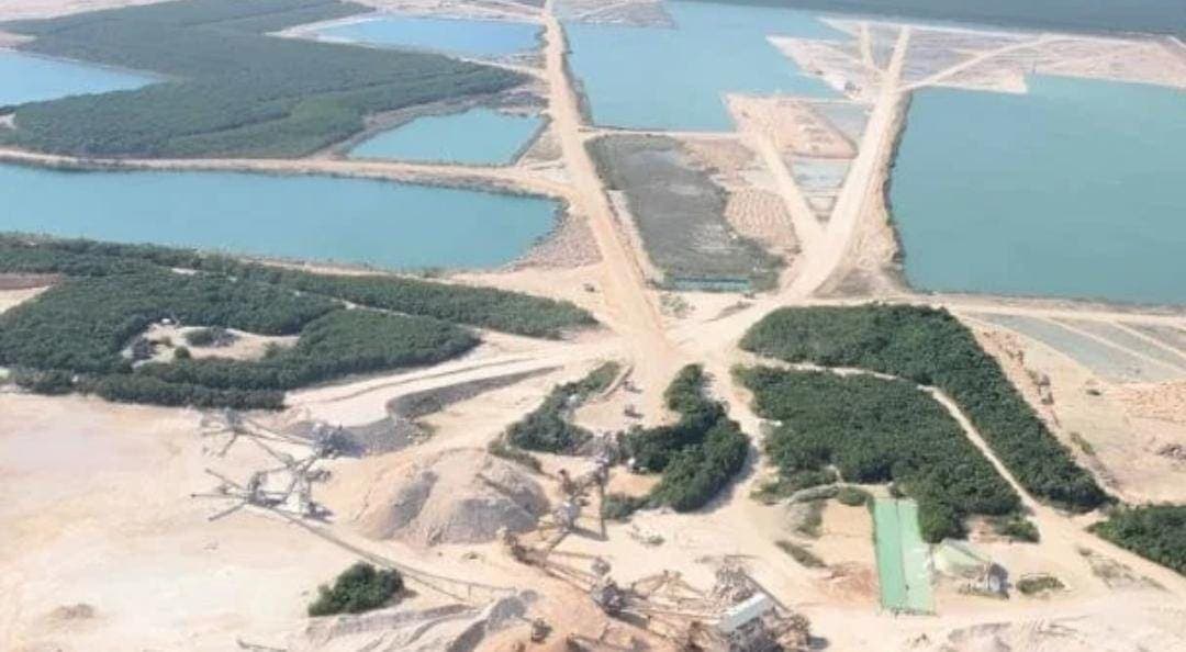 Senadores de EU advierten a Claudia Sheinbaum que habría represalias por decretar a Calica como área protegida