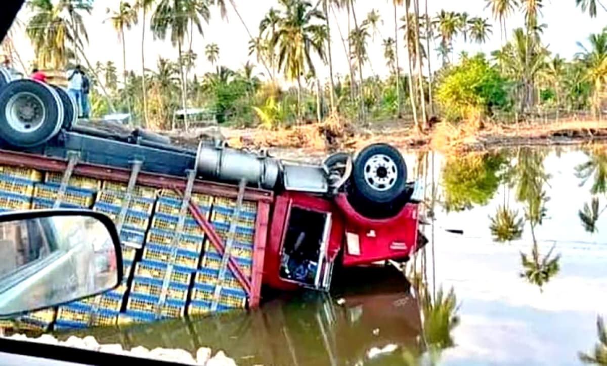 Vuelca tráiler con tres mil pollos en la carretera Acapulco a Zihuatanejo