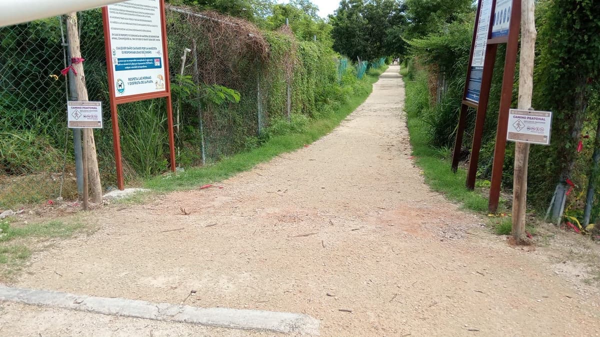 Tras cinco días de cierre reabren acceso al arenal para mascotas de Playa del Carmen