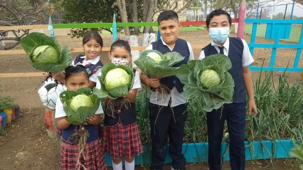 Maestro implementa huerto escolar para enseñar a sus alumnos a sembrar sus propias hortalizas