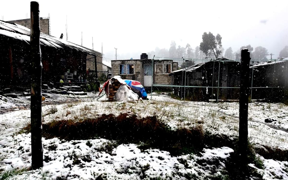 Pronostican invierno más crudo para el país que en 2023 con 48 frentes fríos, hasta febrero próximo