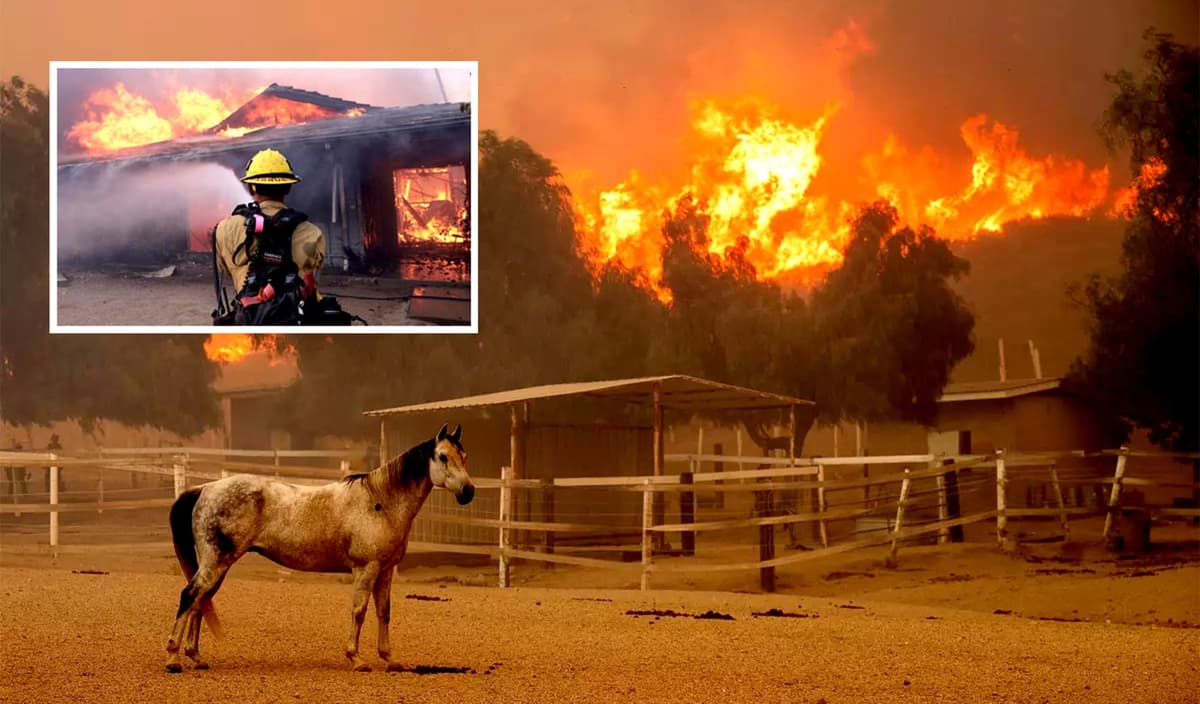 Emergencia en California: devastador incendio Mountain arrasa cientos de hogares