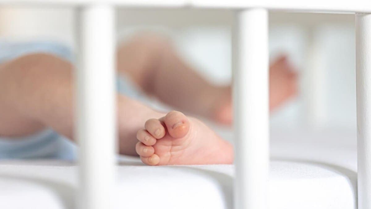 Muere bebé de 8 meses en la guardería Tiny Planet en Nuevo Polanco, CDMX