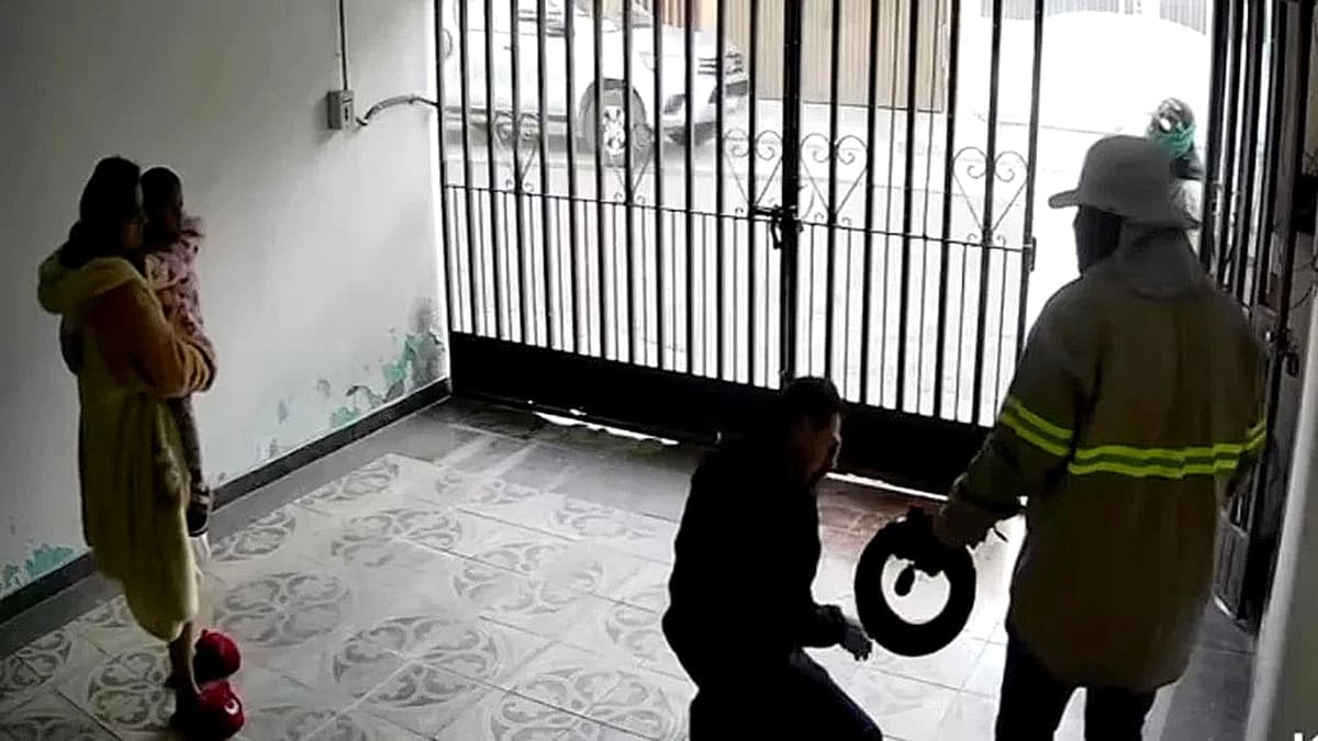 Video: Se hacen pasar por trabajadores y encañonan a familia para robarla, en León