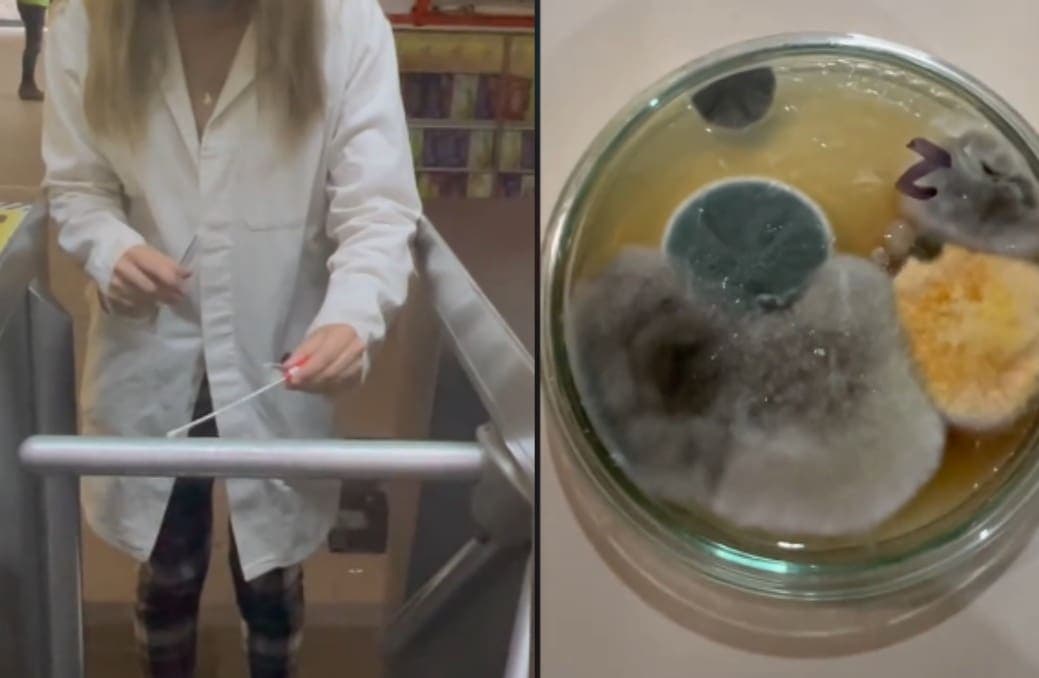 VIDEO: Bióloga se hace viral en TikTok por mostrar los microbios del metro de CDMX