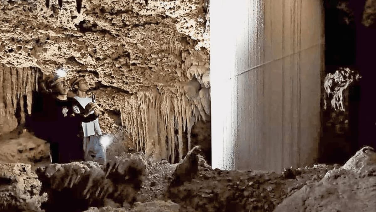 ¡Palo al Tren Maya! Suspensión definitiva contra tramos 5 Norte, 5 Sur y 7 por atentar contra un medio ambiente sano