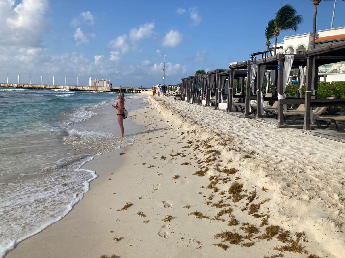 Emprenderán acciones legales contra Grupo Cervera por paraderos de Playa del Carmen
